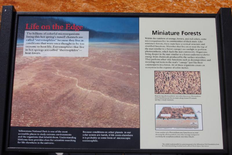 2009-08-03 11:29:42 ** Yellowstone National Park ** Description of the life on the edge of geysers.