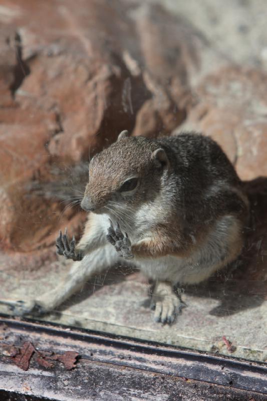 2011-05-07 10:21:14 ** Utah, Zoo ** 