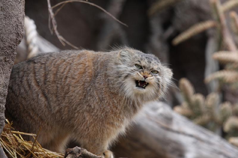 2012-03-25 14:18:07 ** Utah, Zoo ** 