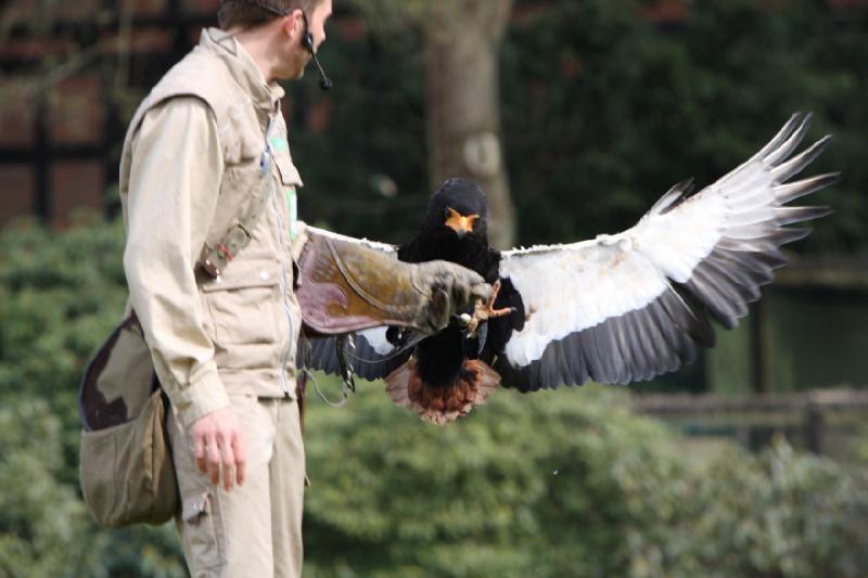 2010-04-13 14:33:59 ** Deutschland, Walsrode, Zoo ** 