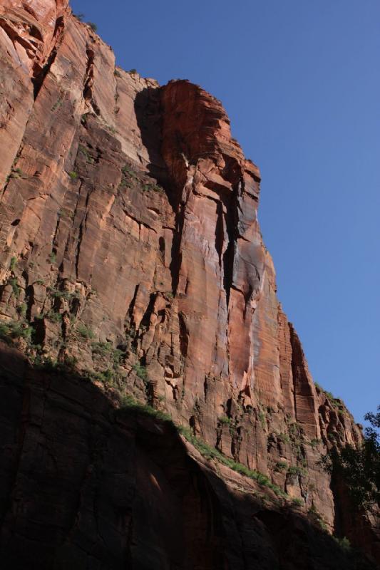 2011-05-29 09:20:51 ** Utah, Zion Nationalpark ** 