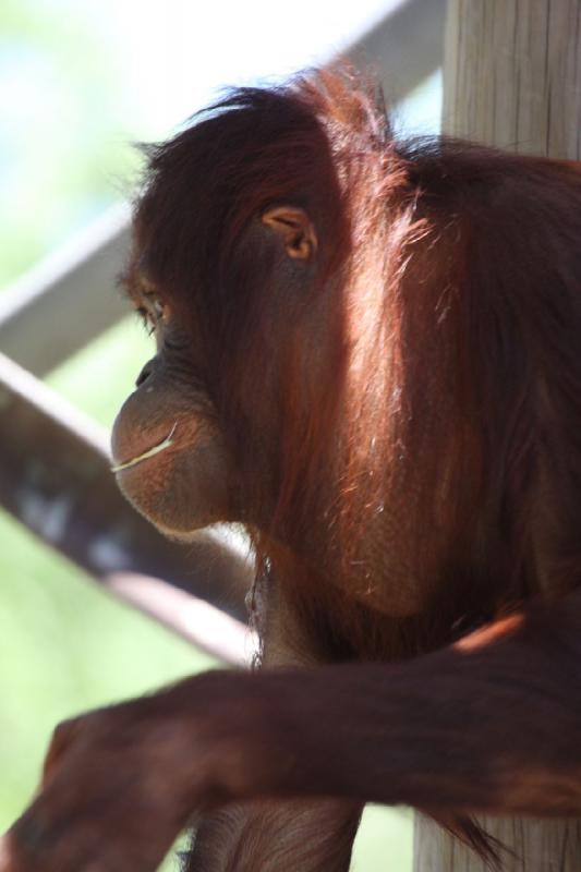 2011-07-15 14:29:06 ** Utah, Zoo ** 