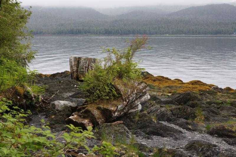 2012-06-19 09:53:51 ** Alaska, Cruise, Ketchikan, Totem Bight State Historic Park ** 