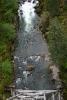 River as seen from the bridge.