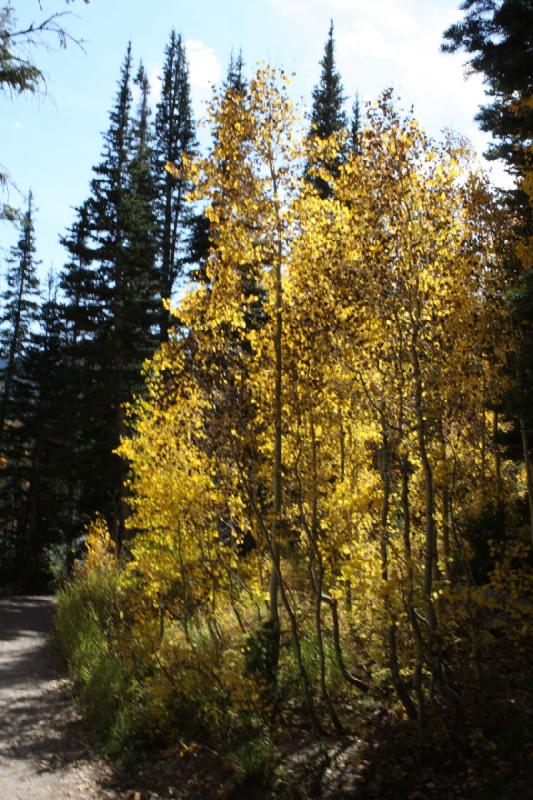 2010-10-01 14:22:30 ** Big Cottonwood Canyon, Utah ** 