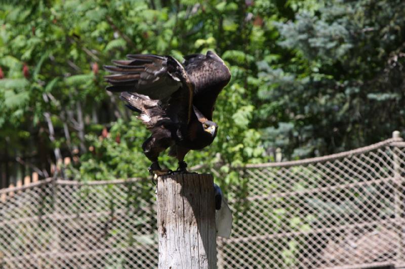 2011-07-15 13:21:20 ** Utah, Zoo ** 