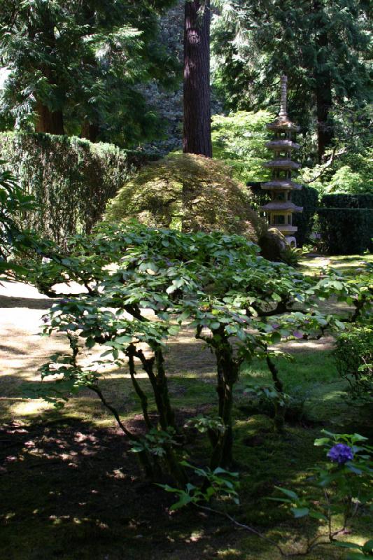 2007-09-02 14:03:20 ** Portland ** Im Japanischen Garten.