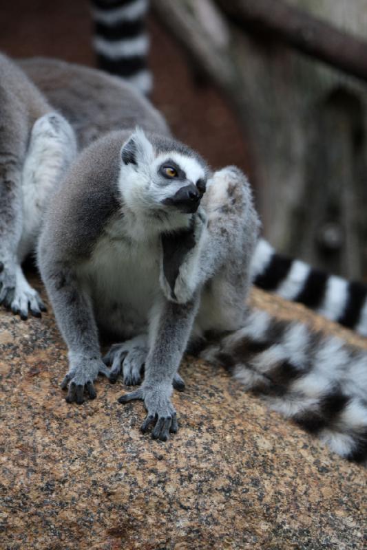 2010-04-10 16:10:41 ** Germany, Munich, Zoo ** 