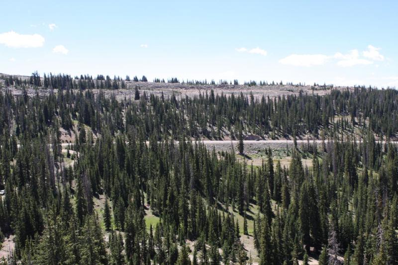 2010-08-21 11:58:52 ** Uinta Berge ** 