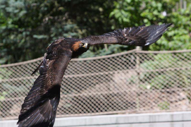 2011-07-15 13:21:39 ** Utah, Zoo ** 