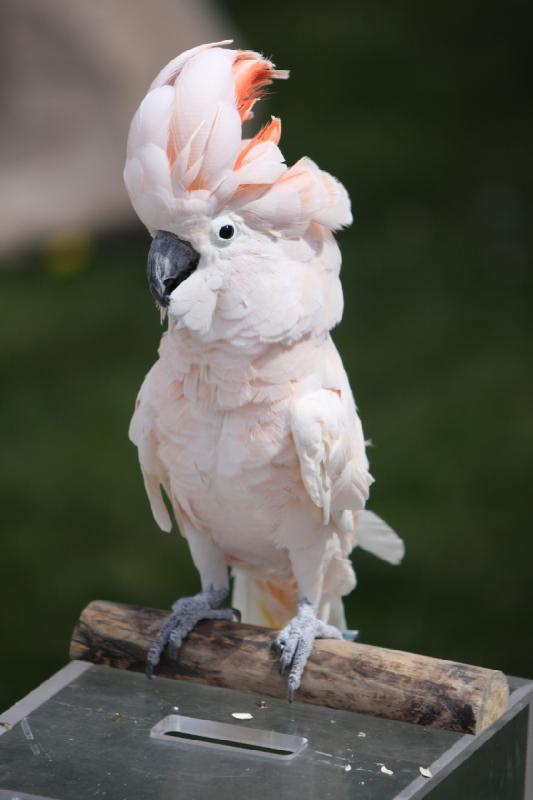 2011-05-07 11:28:38 ** Utah, Zoo ** 