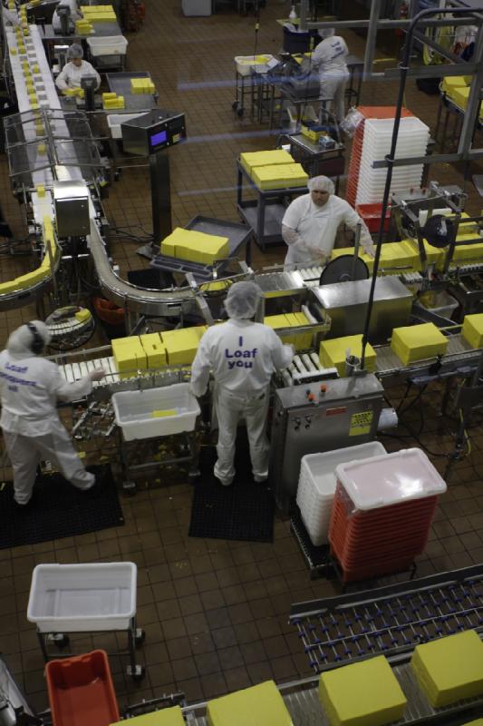 2011-03-25 15:39:01 ** Tillamook Käsefabrik ** Hier werden die großen 40-Pfund-Blöcke von Käse in kleinere Stücke geschnitten.