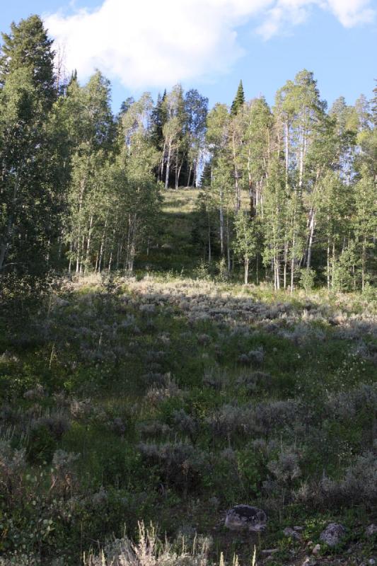 2010-08-20 19:07:10 ** Uinta Mountains ** 