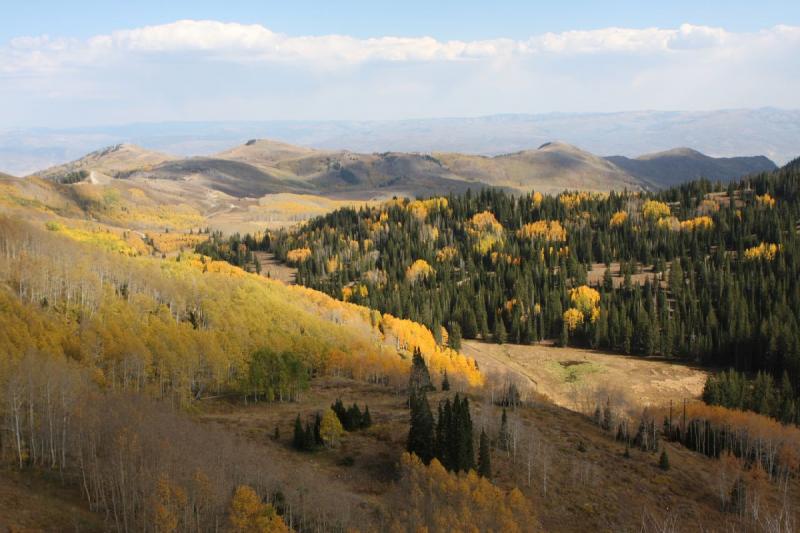 2010-10-02 15:14:51 ** Big Cottonwood Canyon, Utah ** 