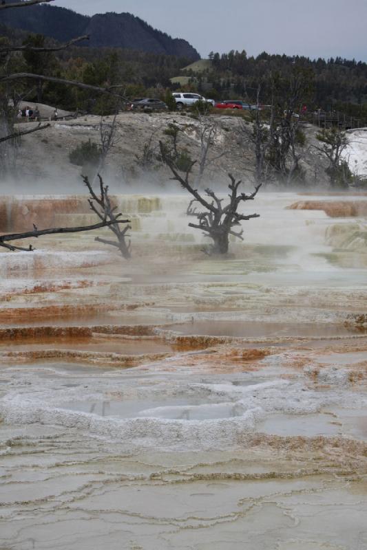 2009-08-04 11:26:14 ** Yellowstone Nationalpark ** 