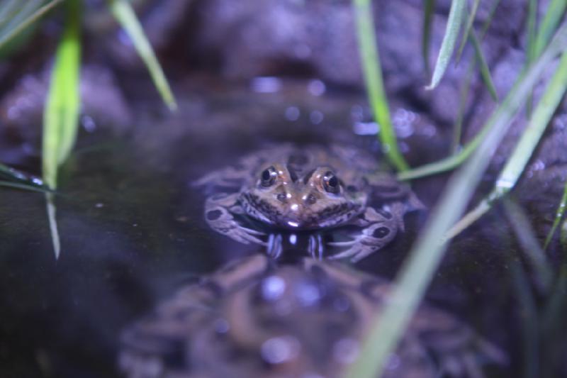 2012-05-19 08:22:38 ** Aquarium, Utah, Zoo ** 