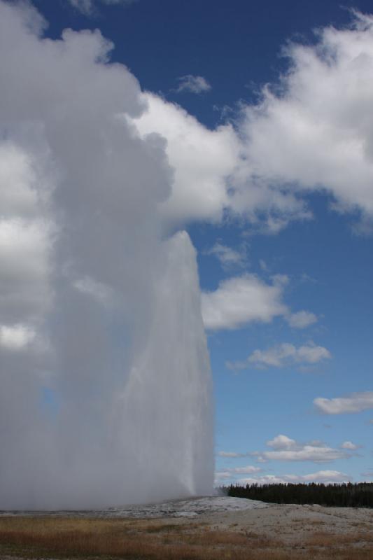 2008-08-15 11:40:00 ** Yellowstone Nationalpark ** Wassersäule von Old Faithful.