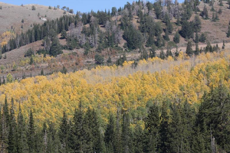 2010-10-01 14:43:43 ** Big Cottonwood Canyon, Utah ** 