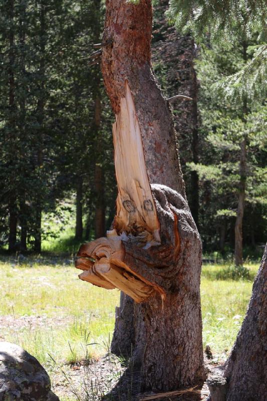 2010-08-21 11:26:01 ** Uinta Mountains ** 