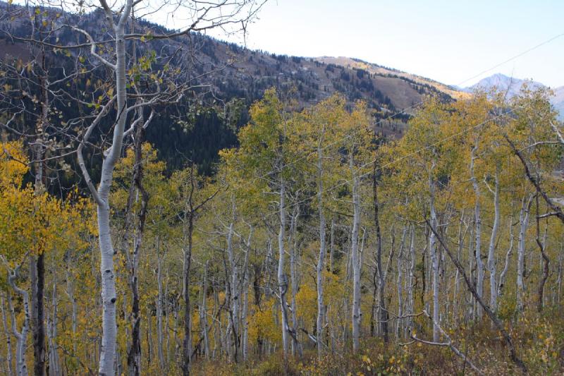 2010-10-02 14:44:37 ** Big Cottonwood Canyon, Utah ** 