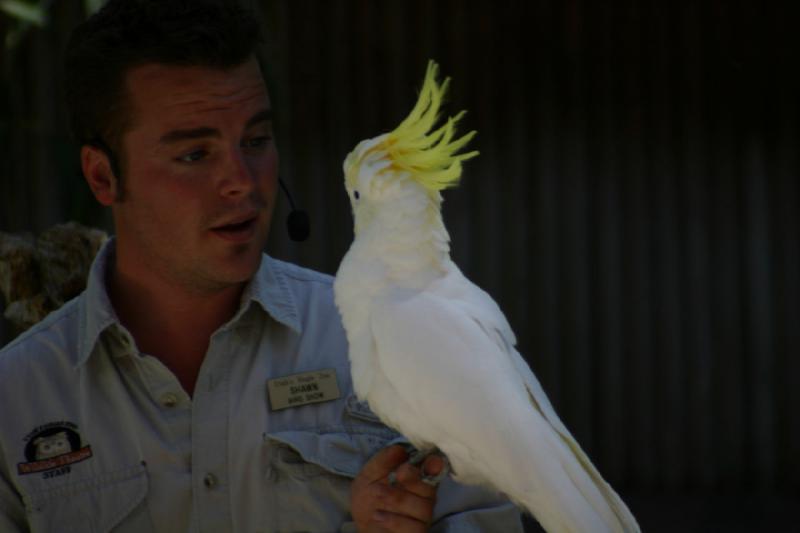 2007-06-18 11:22:36 ** Utah, Zoo ** Shawn, der Vogeltrainer und ein Kakadu.