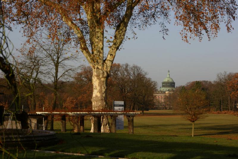 2006-11-28 10:21:30 ** Deutschland, Potsdam ** In der Ferne das Neue Palais.