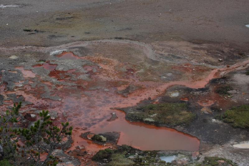 2009-08-02 15:20:32 ** Yellowstone Nationalpark ** Bakterien färben das Wasser rot.