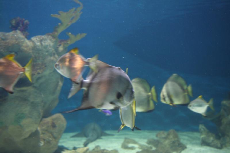 2012-05-19 07:44:00 ** Aquarium, Utah, Zoo ** 