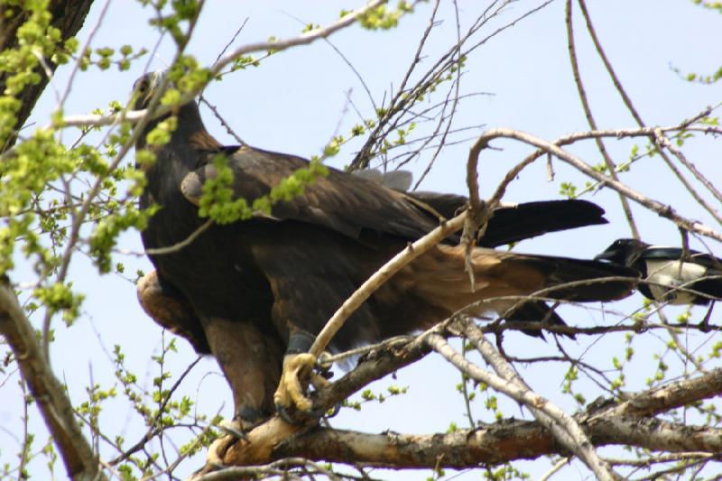 2008-05-04 13:56:42 ** Utah, Zoo ** 