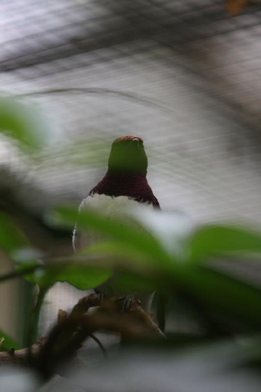 2010-04-13 13:40:08 ** Deutschland, Walsrode, Zoo ** 