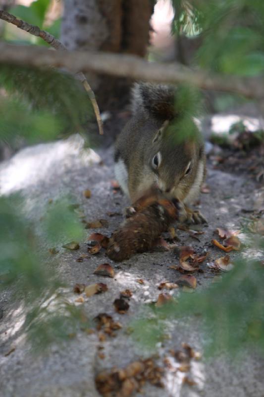 2012-06-12 11:18:02 ** Silver Lake, Utah ** 