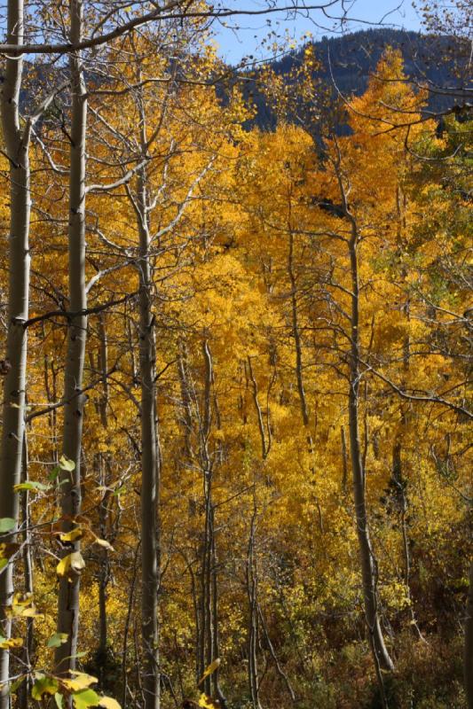 2010-10-01 14:15:47 ** Big Cottonwood Canyon, Utah ** 