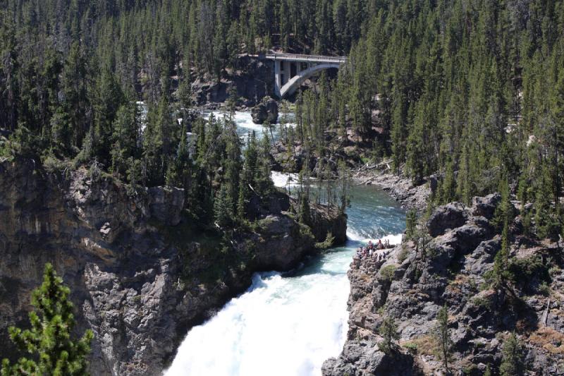 2008-08-16 12:41:00 ** Yellowstone National Park ** 