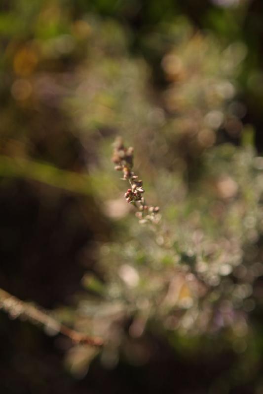 2010-08-20 19:06:54 ** Uinta Mountains ** 