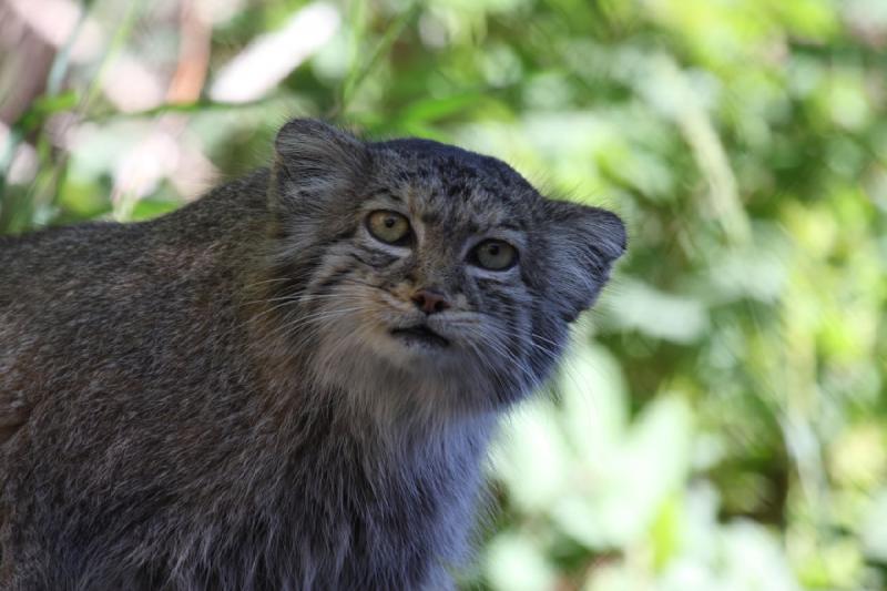 2011-07-16 08:13:12 ** Utah, Zoo ** 