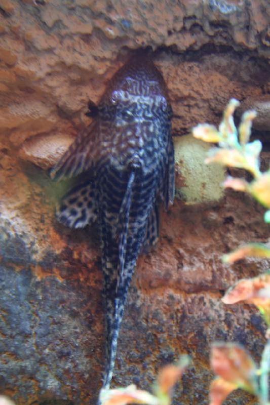 2012-05-19 07:53:21 ** Aquarium, Utah, Zoo ** 