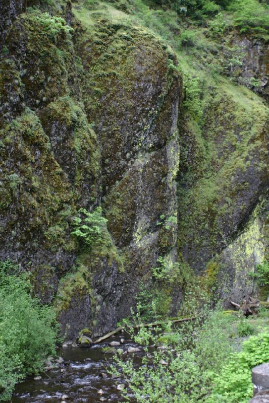 2005-05-06 17:14:59 ** Multnomah Falls ** Rock covered in moss.