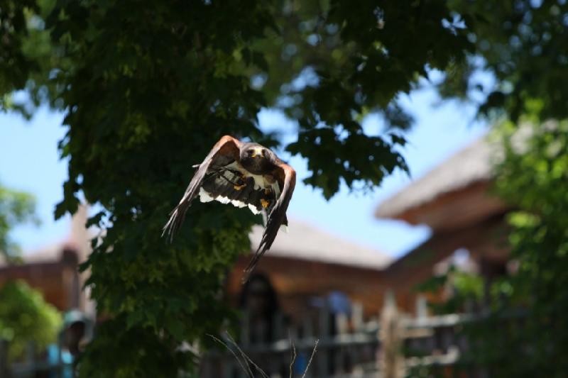 2011-07-15 12:59:16 ** Utah, Zoo ** 