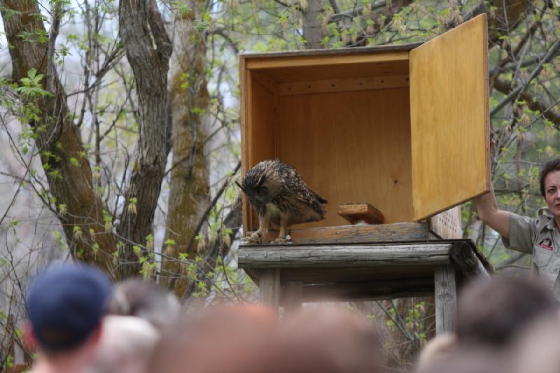 2011-05-07 11:15:41 ** Utah, Zoo ** 