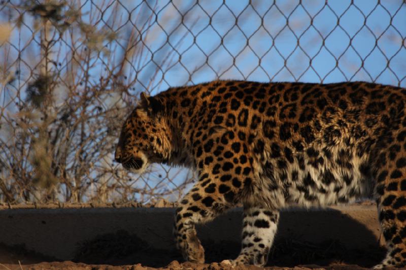 2011-01-23 16:31:50 ** Utah, Zoo ** 