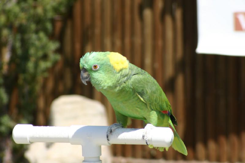 2008-05-04 13:12:44 ** Utah, Zoo ** 