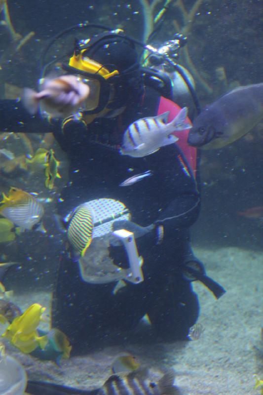 2012-06-16 11:12:13 ** Aquarium, Seattle ** 