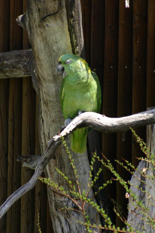 2008-05-04 12:56:54 ** Utah, Zoo ** 