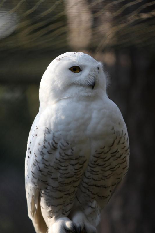 2010-04-13 17:56:57 ** Deutschland, Walsrode, Zoo ** 