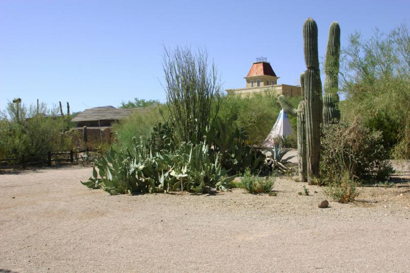 2006-06-17 15:22:28 ** Kaktus, Tucson ** Vegetation am Rande der Bahn.