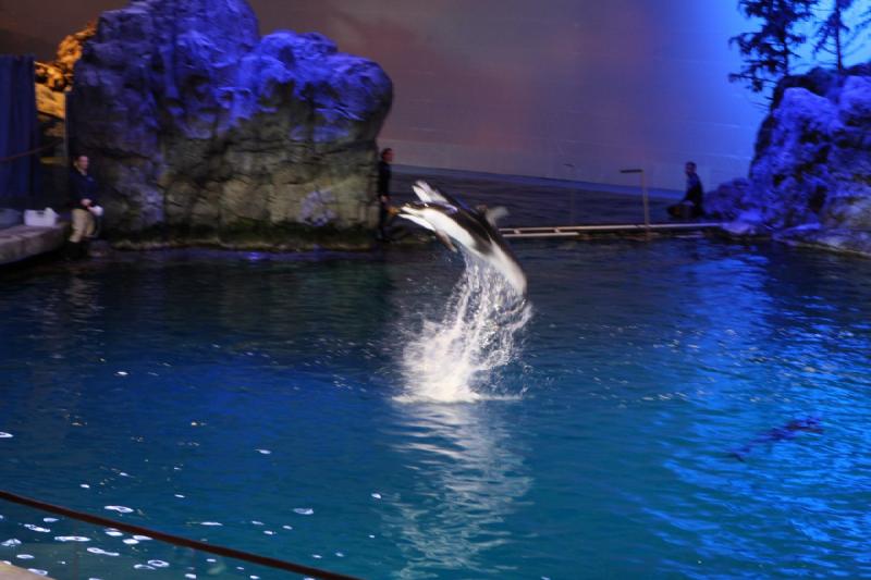 2014-03-12 12:48:47 ** Chicago, Illinois, Shedd Aquarium ** 