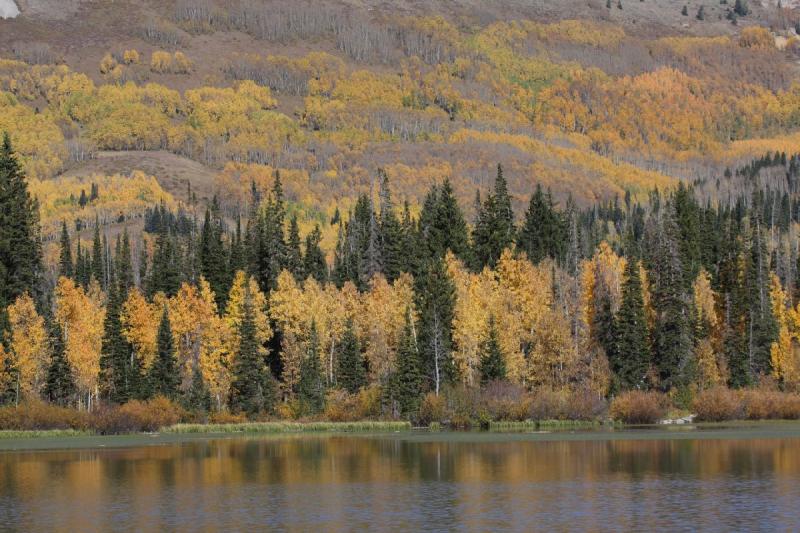 2010-10-01 14:43:15 ** Big Cottonwood Canyon, Utah ** 