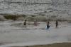 Gruppe von Kindern am Strand von Laguna Beach.