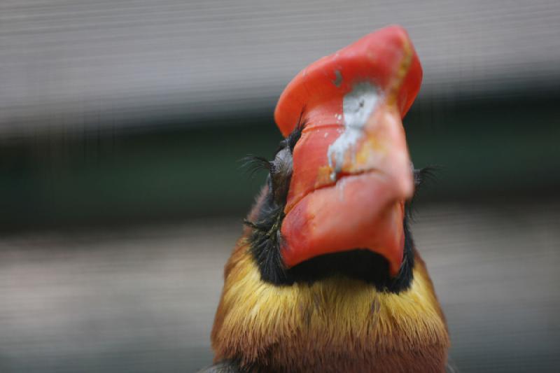 2010-04-13 14:01:54 ** Deutschland, Walsrode, Zoo ** 