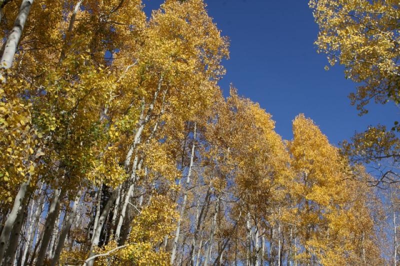 2010-10-01 14:17:09 ** Big Cottonwood Canyon, Utah ** 